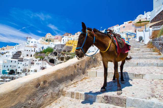 Top 5 Sustainable Travel Practices Every Traveler Should Know